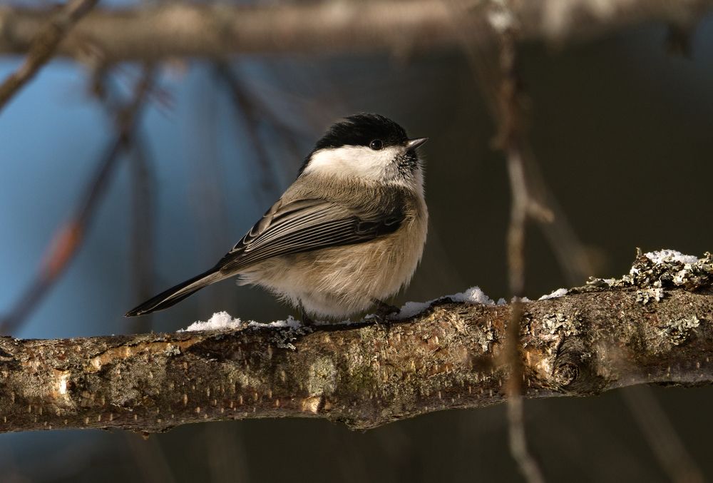 Photograph by Виталий Богачев