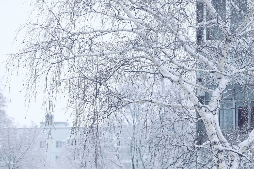 Фотография автора Юрий Звонарев