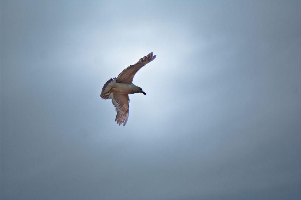 Photograph by Юлия Журавель