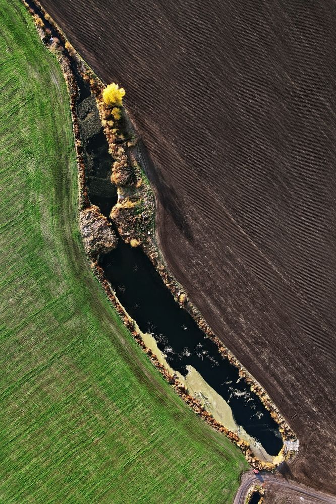 Photograph by Орловский Сергей