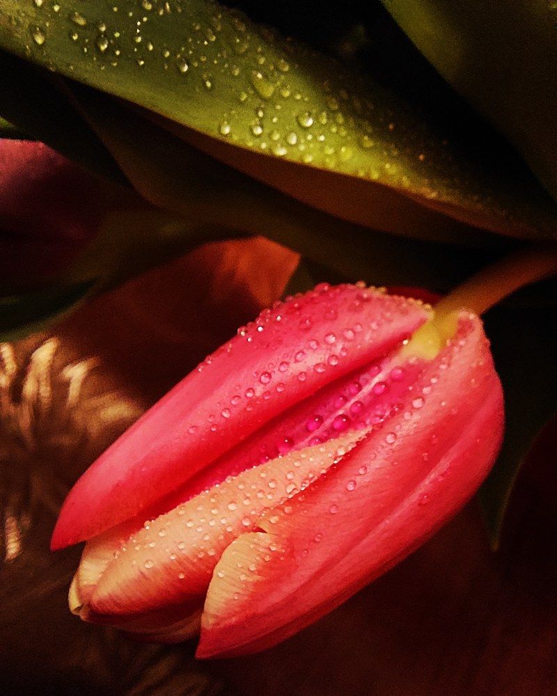 Photograph by Нина Паршина