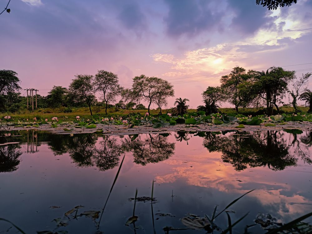 A colourful Day with beautiful reflection