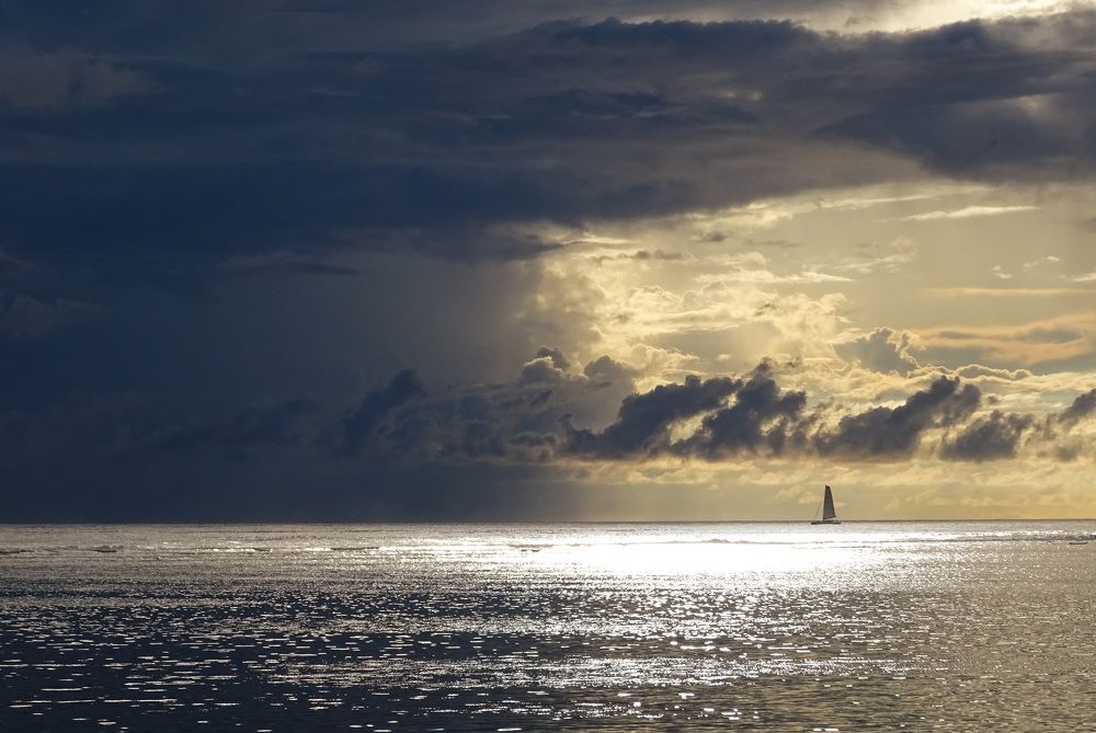 Photograph by Christine ECHEVET-ADAM de VILLIERS