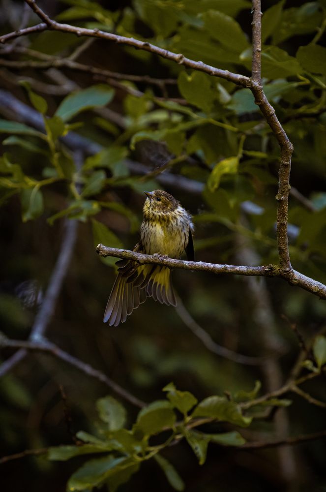 Photograph by Катарина Коземерчак
