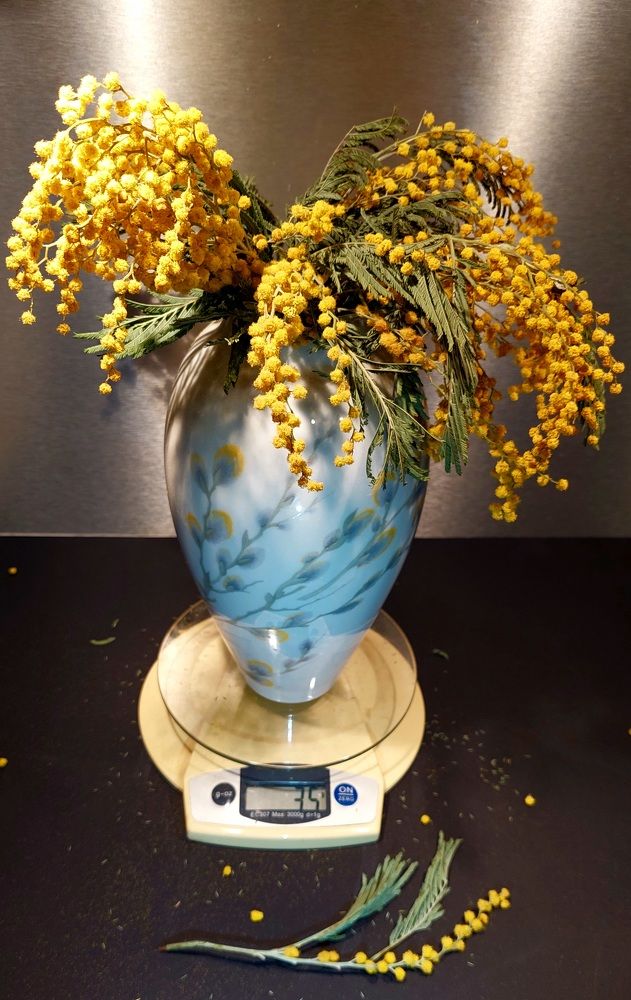 Photograph by Елена Тимченко