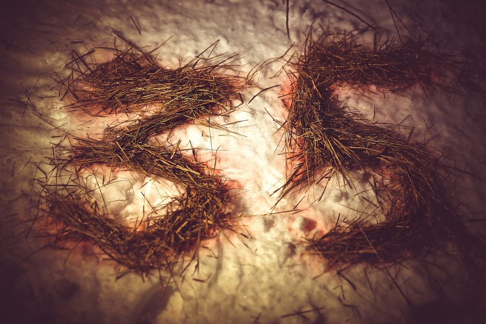 Photograph by Олька Крайнова