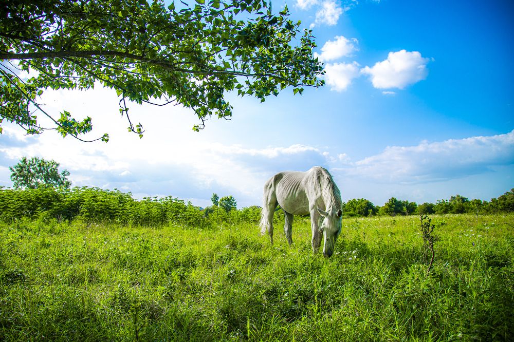 Photograph by Тим Бабурин