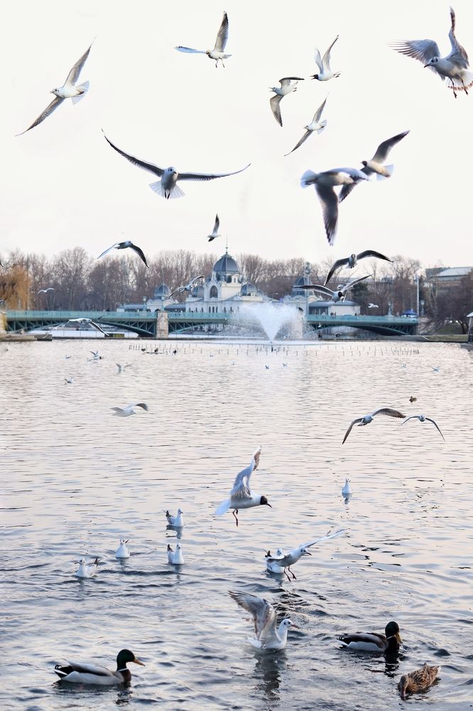 Photograph by Светлана Запорожченко