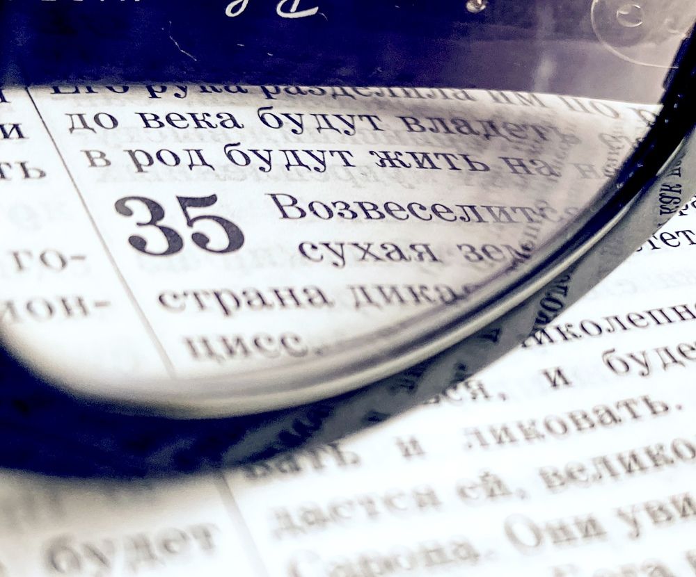 Photograph by Елена Гарибян