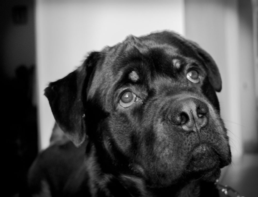 Photograph by Марина Нуриджанян