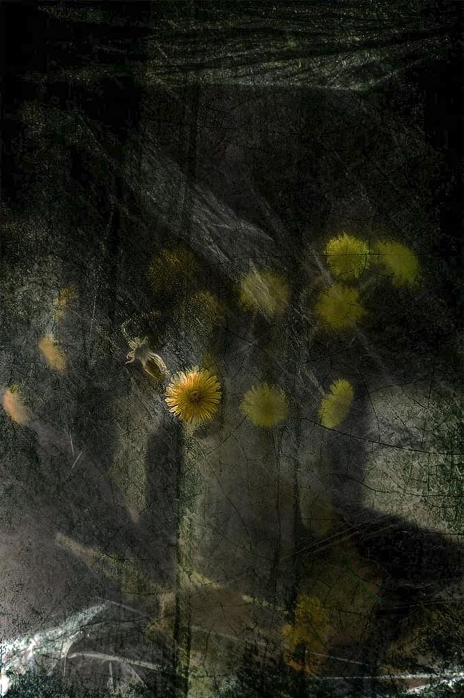 Photograph by Сергей Киселев