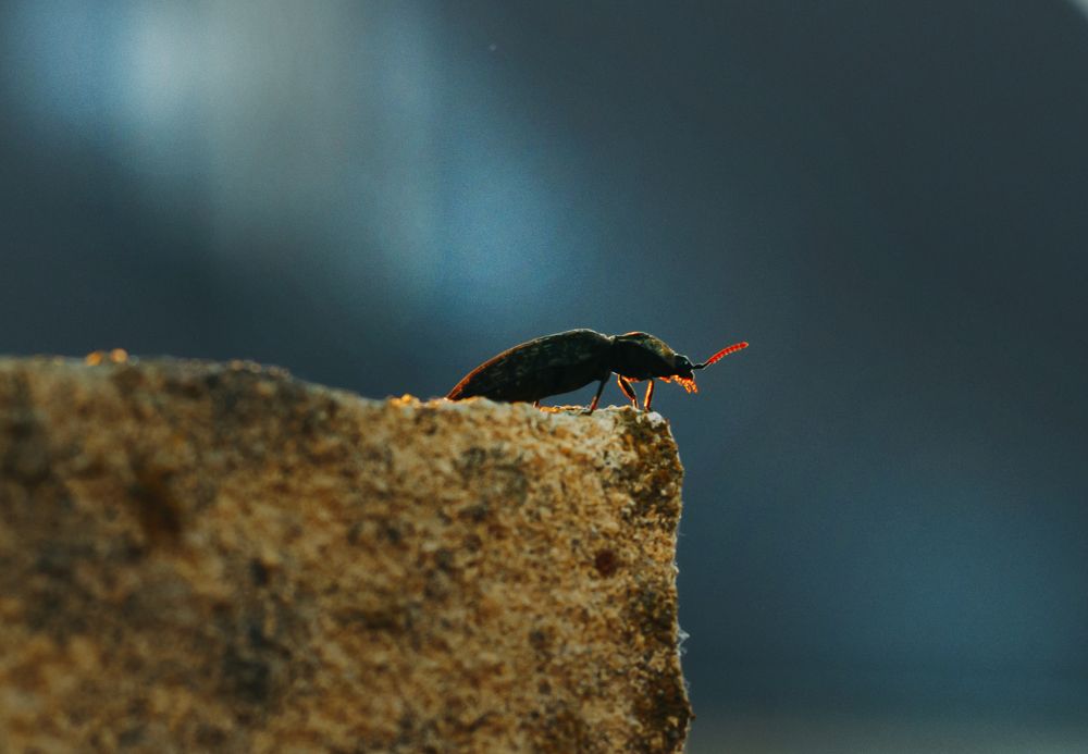 Photograph by Михаил Кручинин