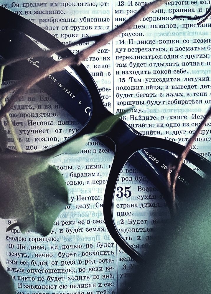 Photograph by Елена Гарибян