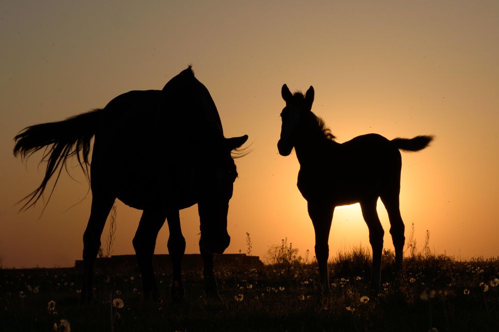 Photograph by Светлана Артюшина