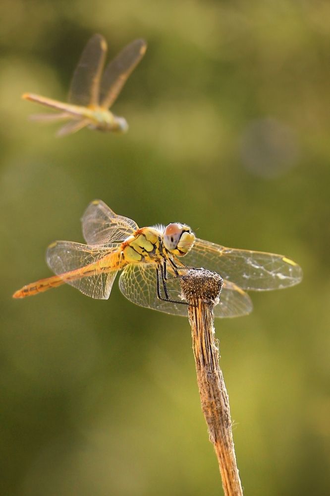 Photograph by Marziyeh Nasiri