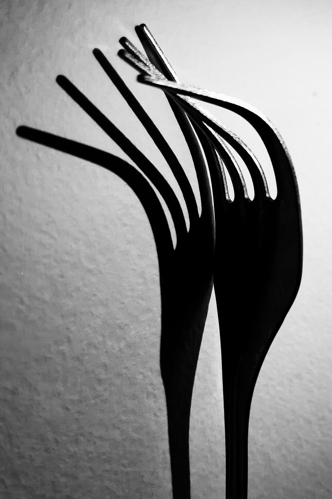 Photograph by Анна Зенкина