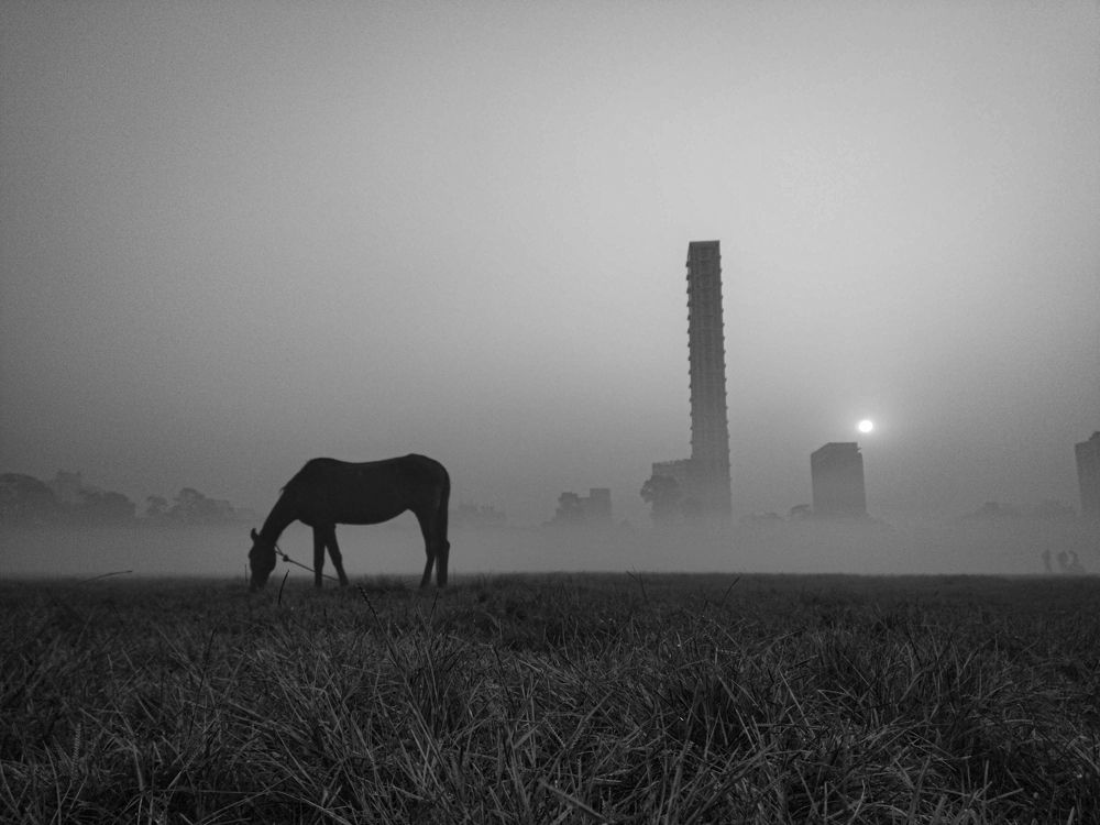 Photograph by Soumyadeep