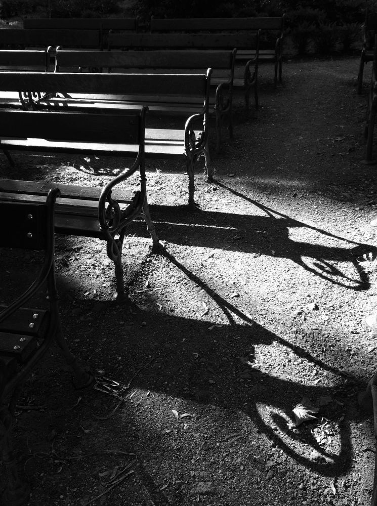 Photograph by Brigita Lehoťanová