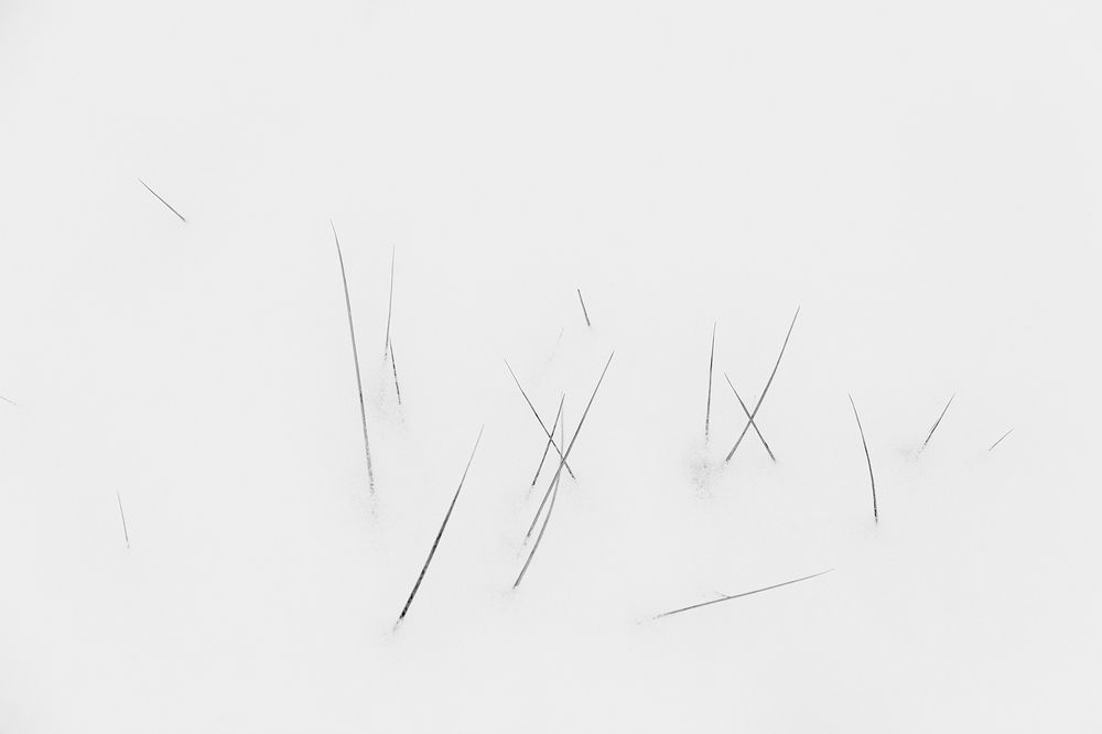 Photograph by Светлана Воробьёва