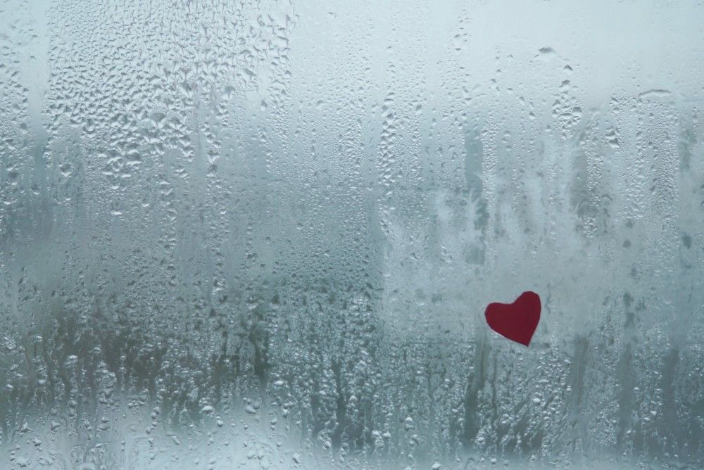 Photograph by Светлана