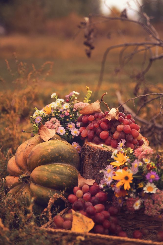 Photograph by Юлия Семенюк