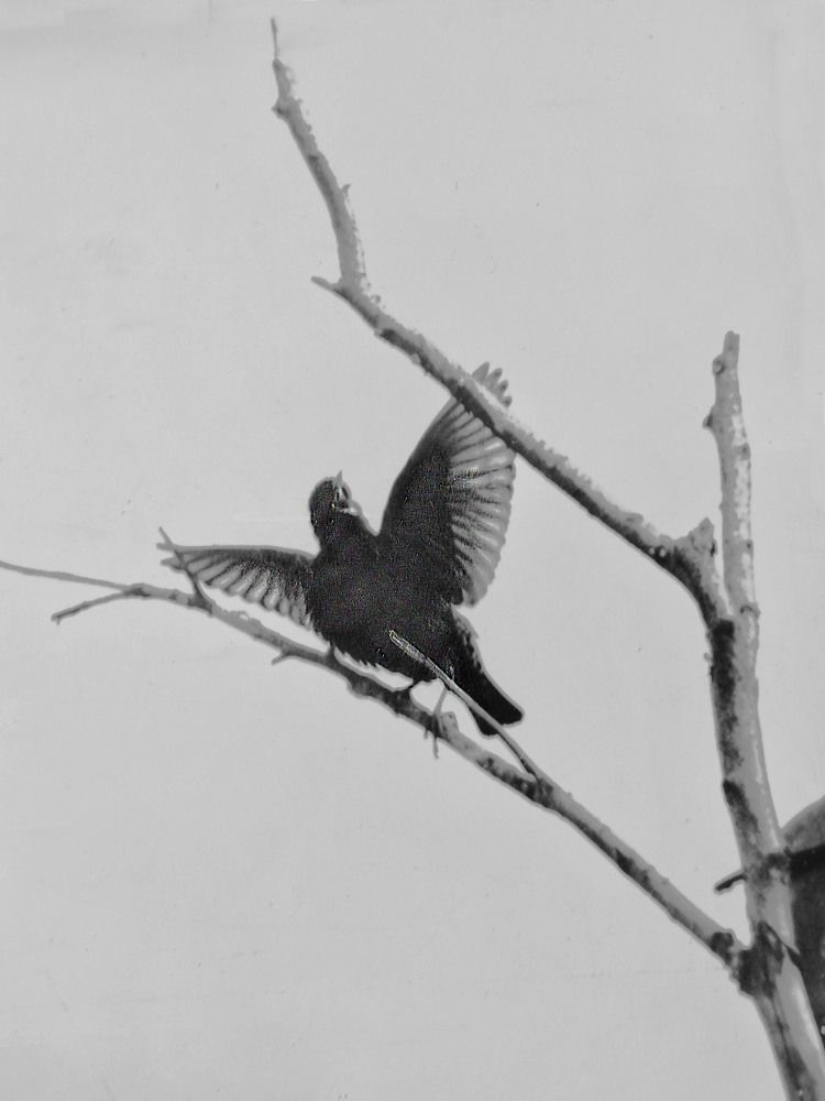 Photograph by Моложников Юрий