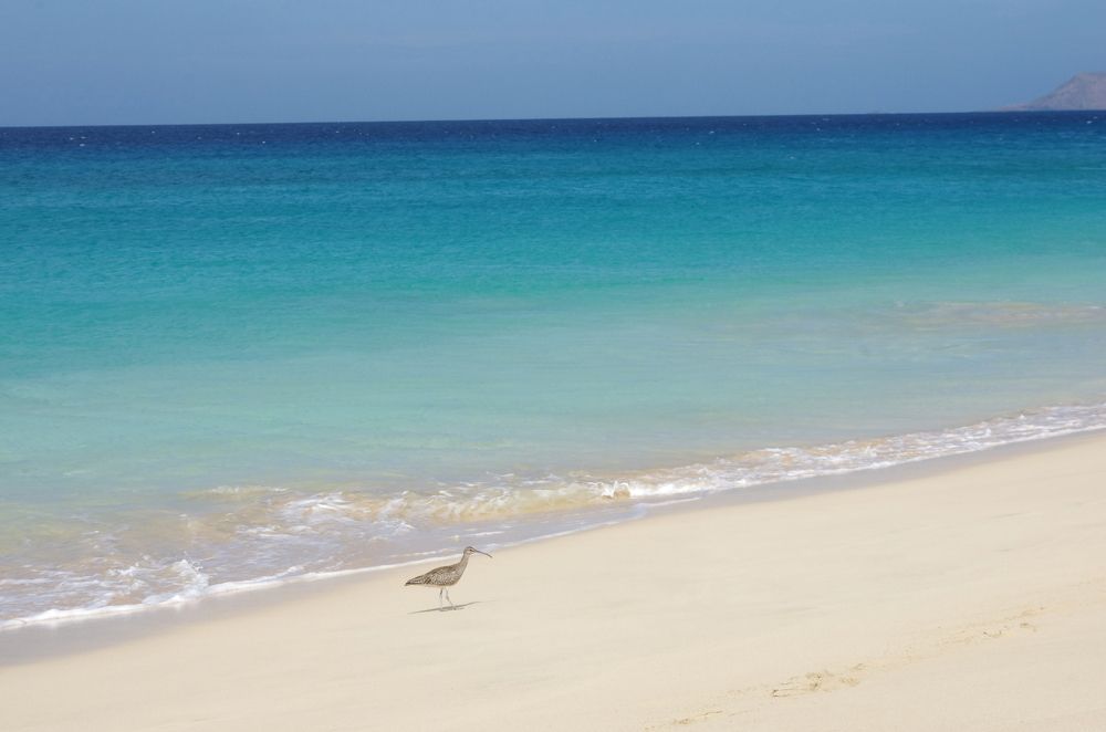 Photograph by Maurizio