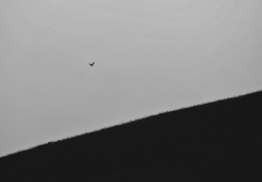 Photograph by Юлия Лушникова