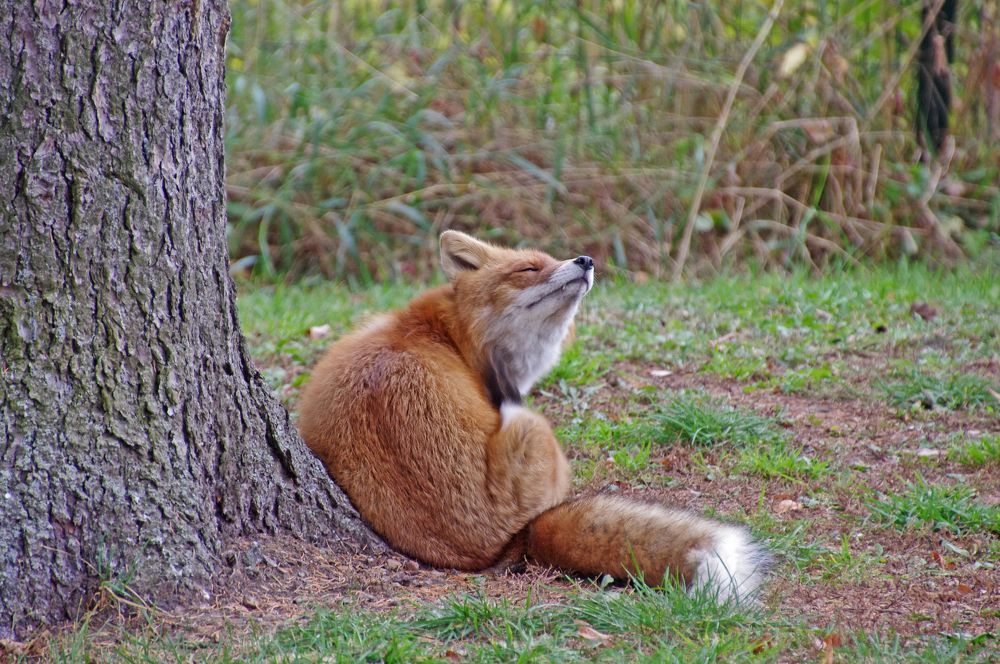 Photograph by Елена Щитова