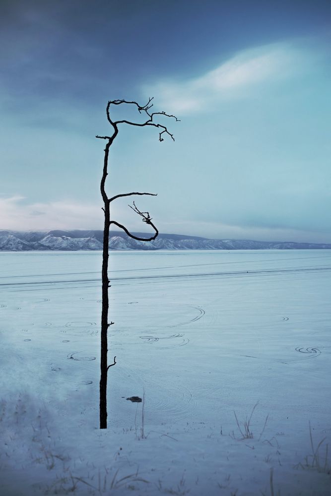 Photograph by Antonina Marchenko