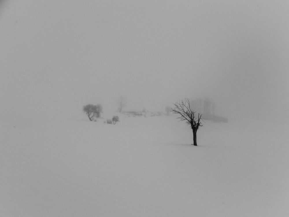 Фотография автора ako abdi