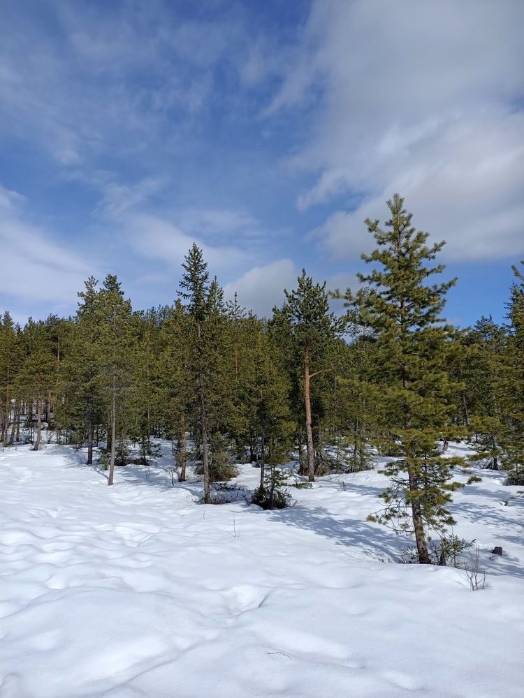 Photograph by Софья Филиппова