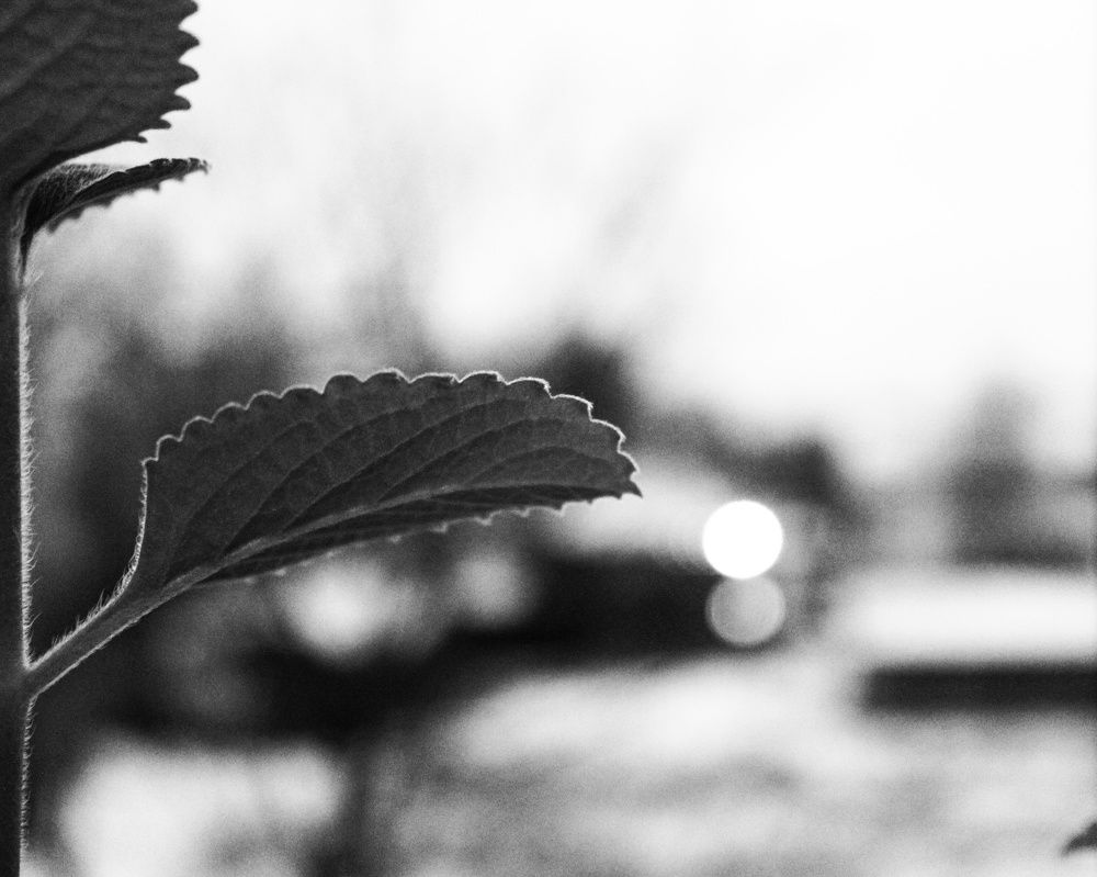 Photograph by Иван Крылов