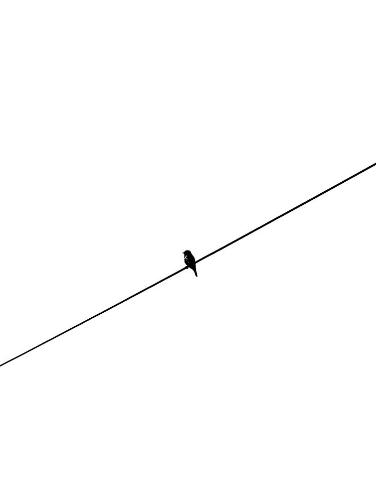 Photograph by NIKSHEP KONDA