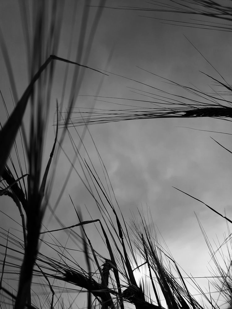 Photograph by Иван Крылов