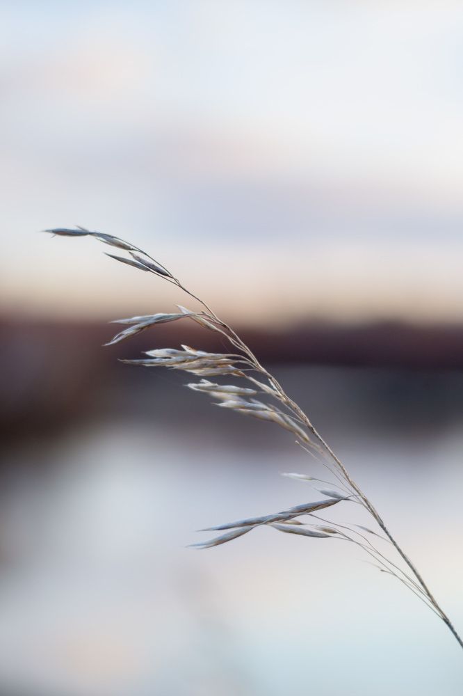 Photograph by Евгения Антропова