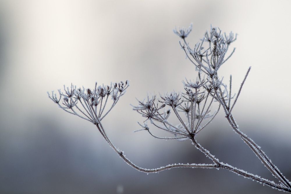 Photograph by Евгения Антропова