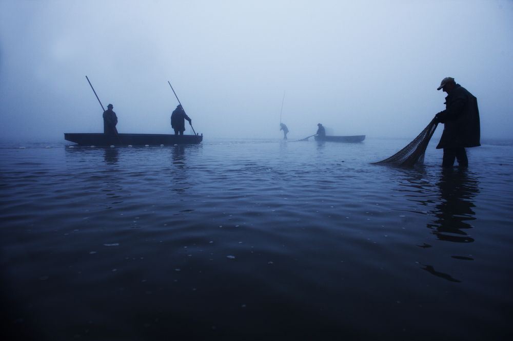 Photograph by Zdeněk Dvořák