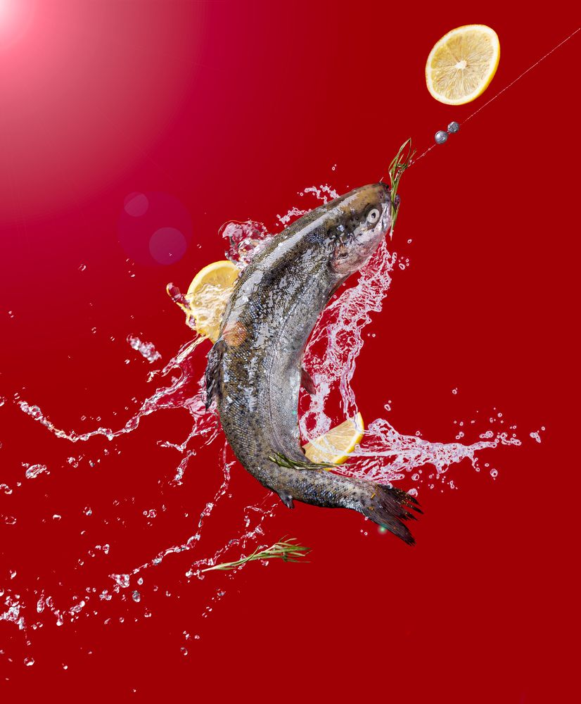 Photograph by Лимит Галина