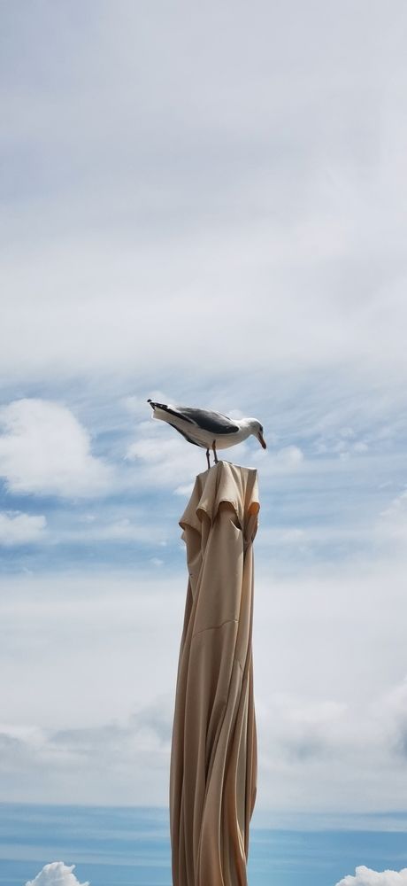 Photograph by Ксения Супрун