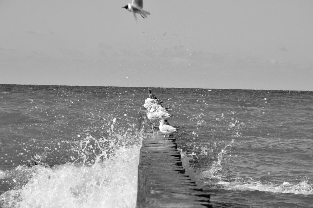 Photograph by Ольга Шевцова