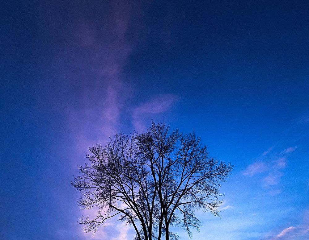 Photograph by Юлия Чиклеева