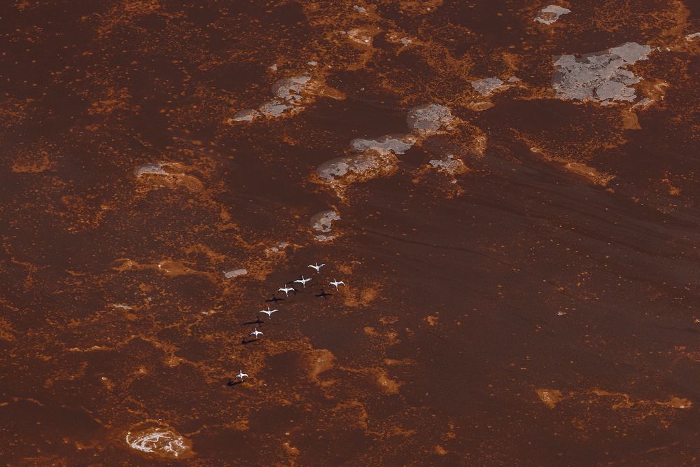 Фотография автора Subi Sridharan