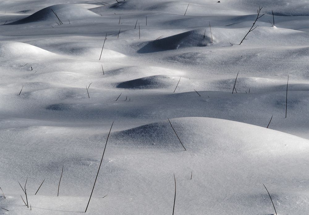 Photograph by Павел Кулинич