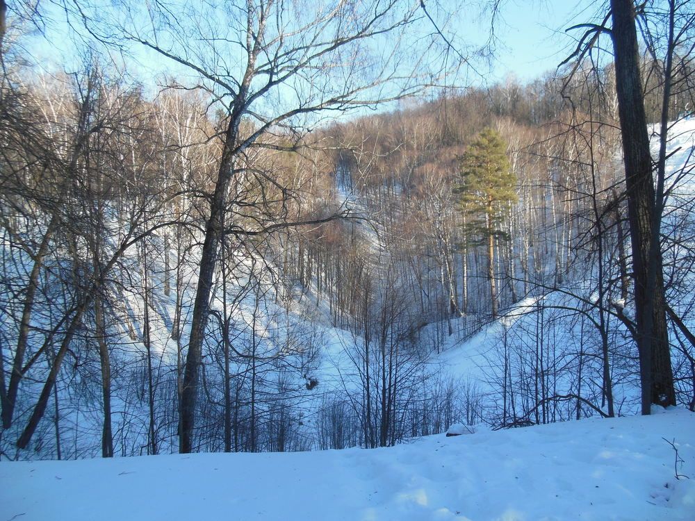 Photograph by Светлана Батурова