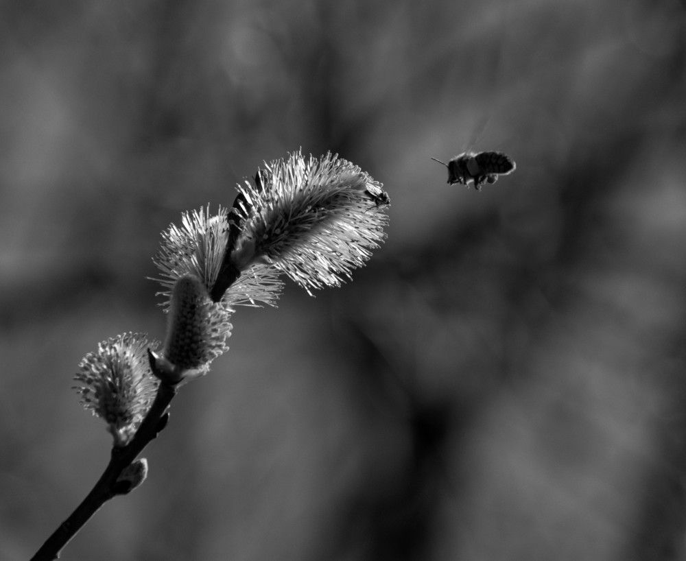 Photograph by Vitalii Kaznin