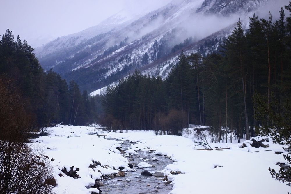 Photograph by Мария