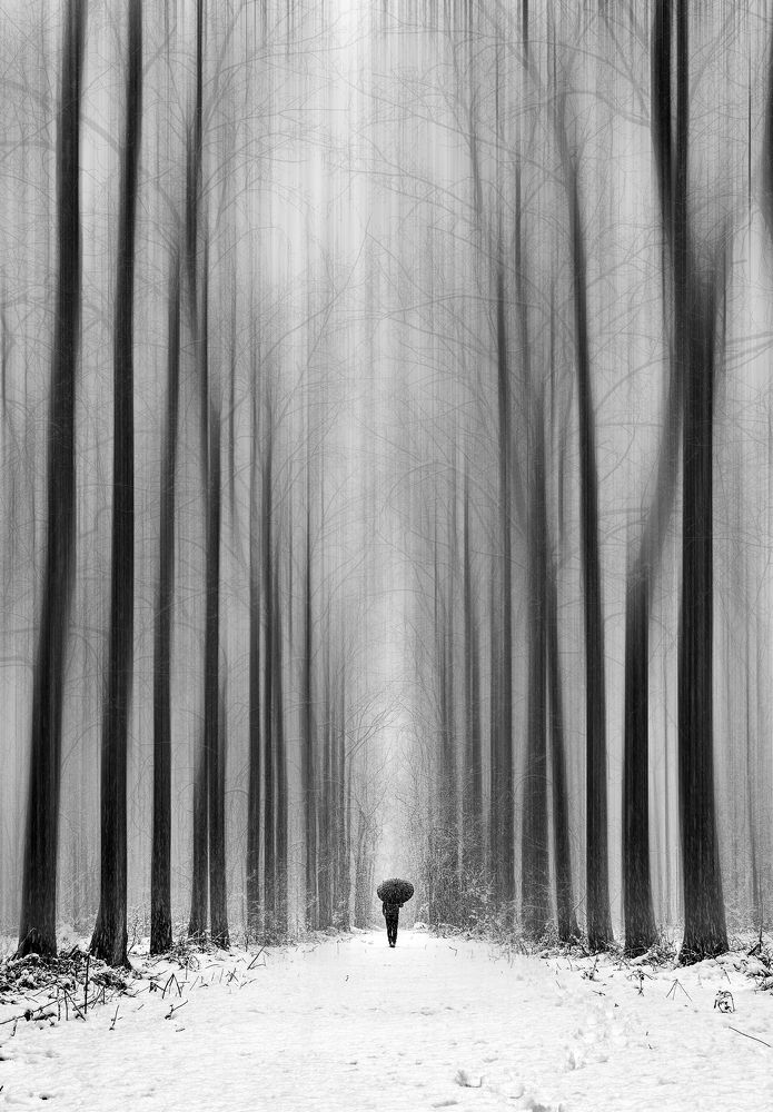 Photograph by Riahi Hosein