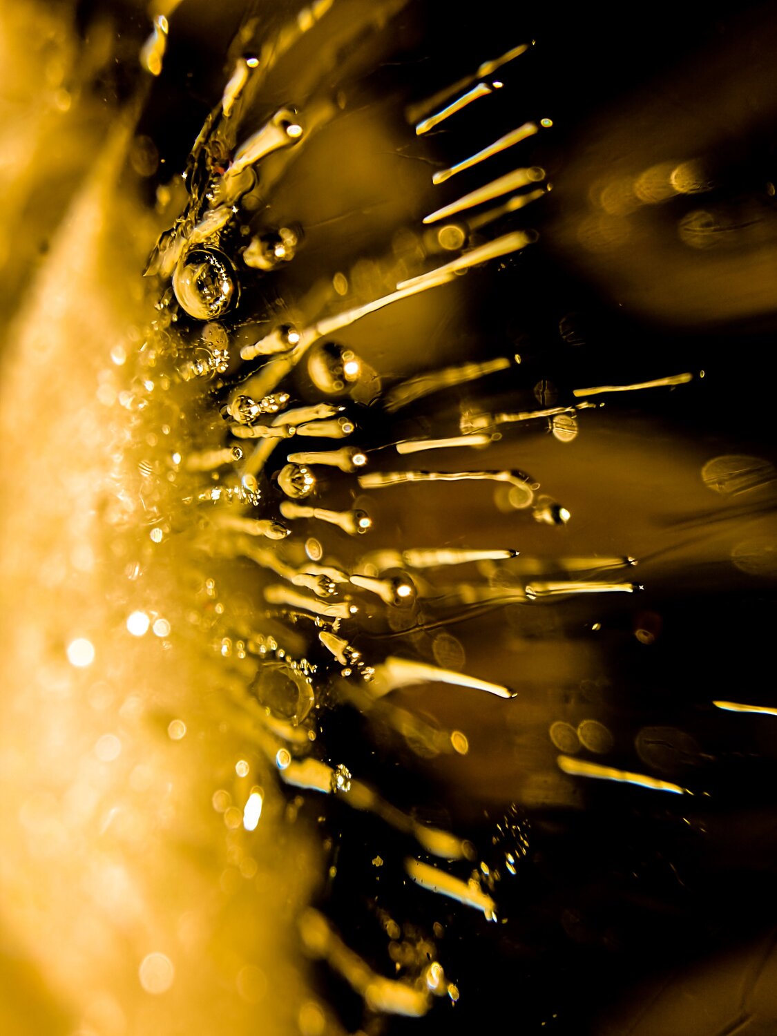 Photo #7435567