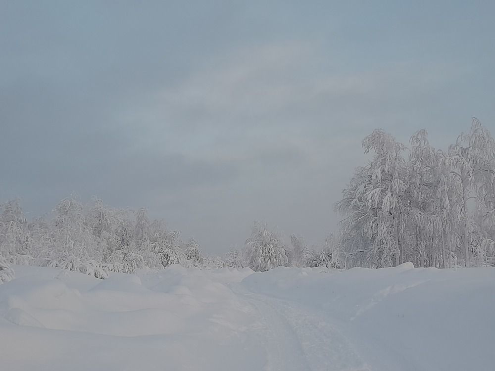 Photograph by Наталья Люнгрин